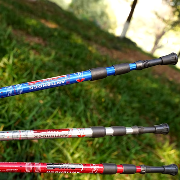 Hiking Walking Stick