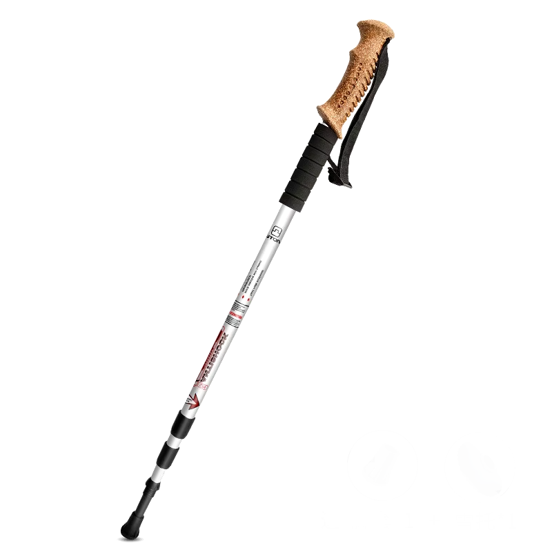 Hiking Walking Stick