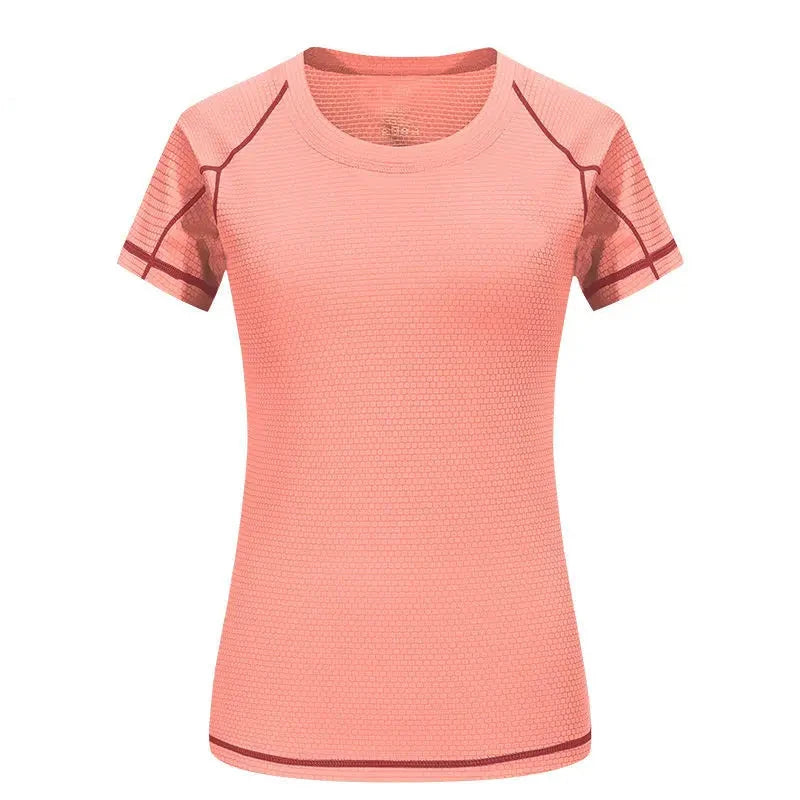 48933075059020|48933075091788|48933075124556|48933075157324|48933075190092|48933075222860|48933075255628