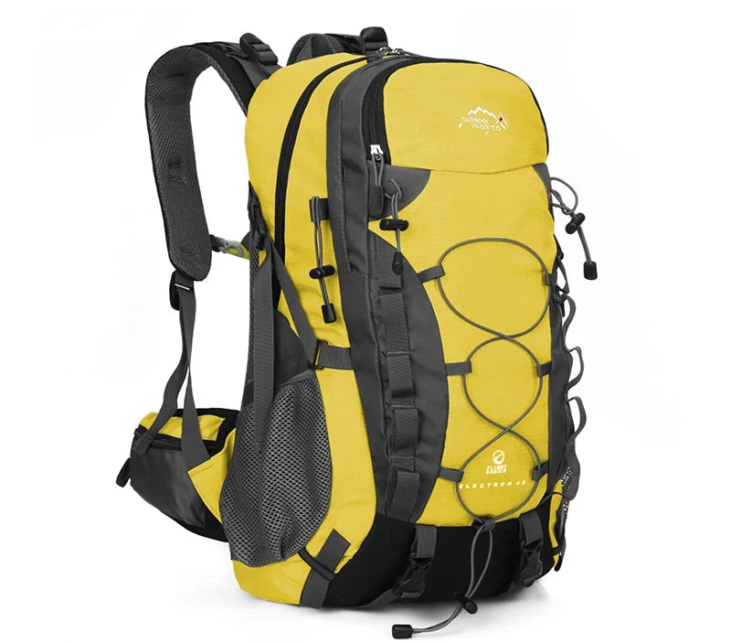 48962403369292|48962403533132|48962403565900