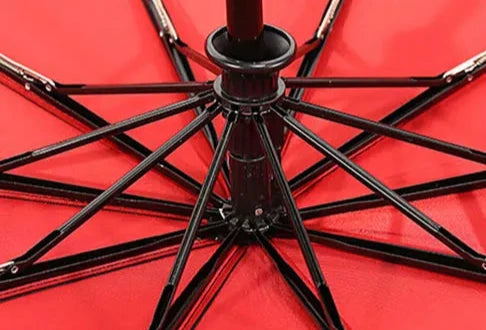 Windproof Double Layer Umbrella, Fully Automatic and Wind Resistant