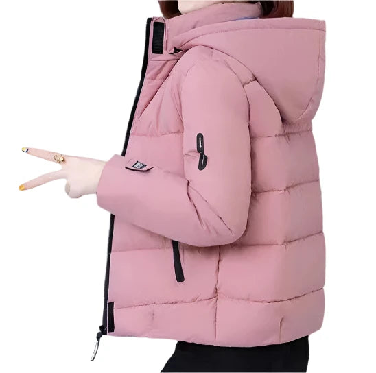 48951524163916|48951524196684|48951524294988|48951524327756|48951524360524|48951524393292