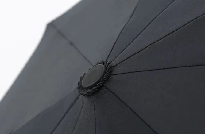 Windproof Double Layer Umbrella, Fully Automatic and Wind Resistant