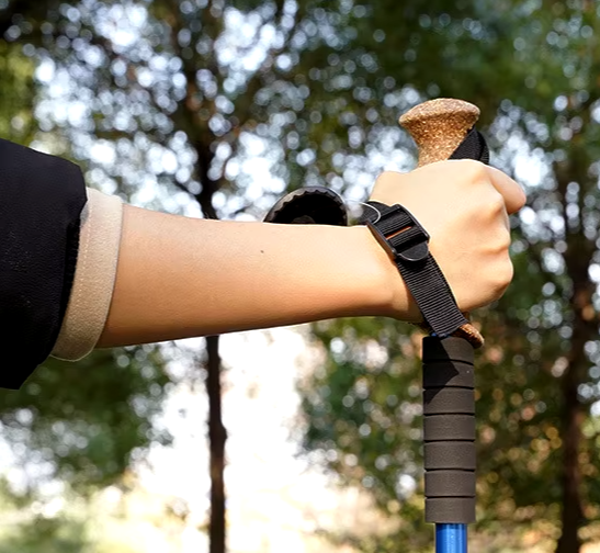 Hiking Walking Stick